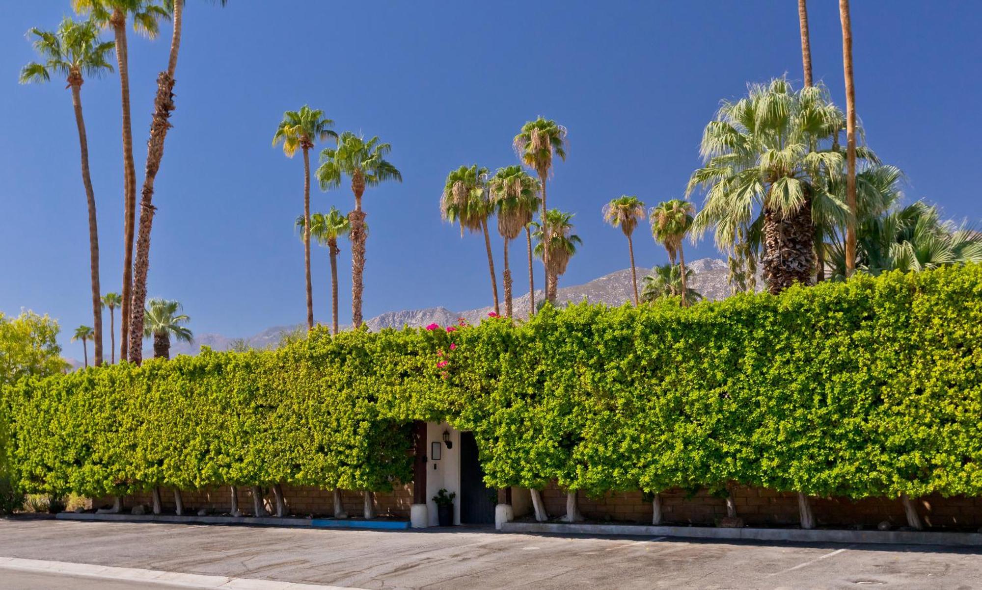 La Maison Hotel - Adults Only Palm Springs Bagian luar foto